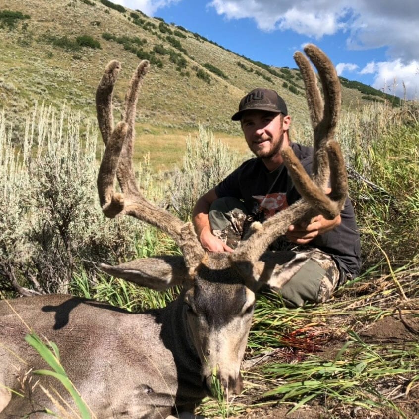 colorado archery deer hunts