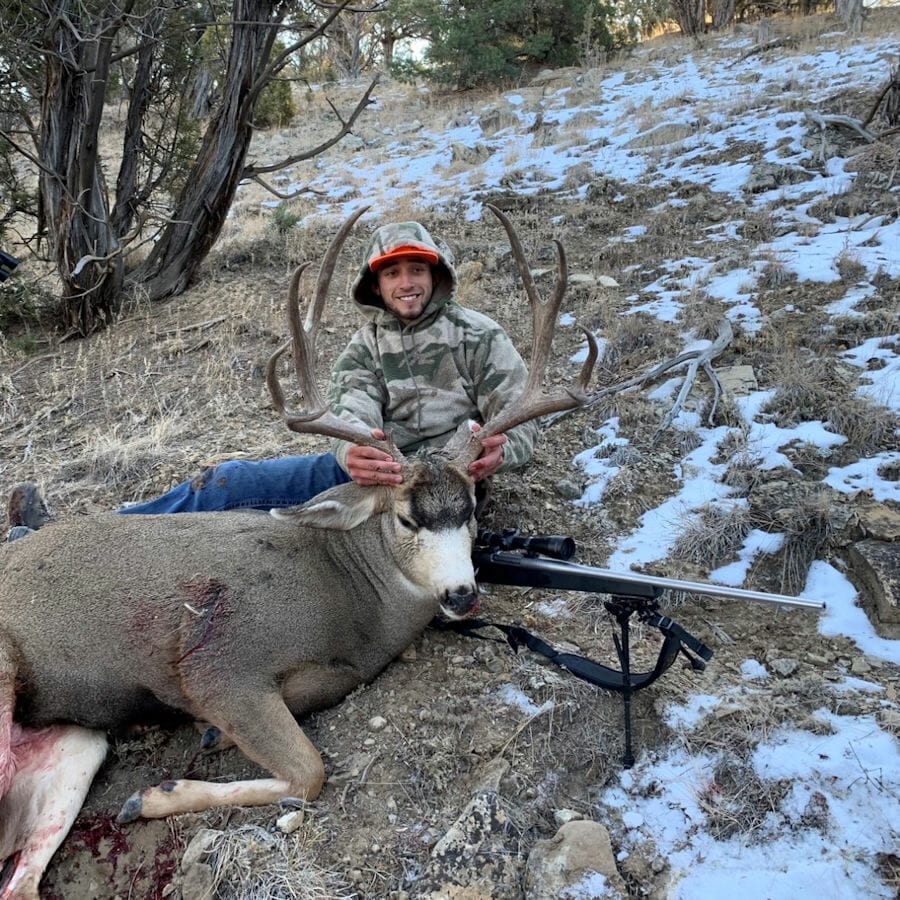 Rifle Mule Deer Hunt in Colorado