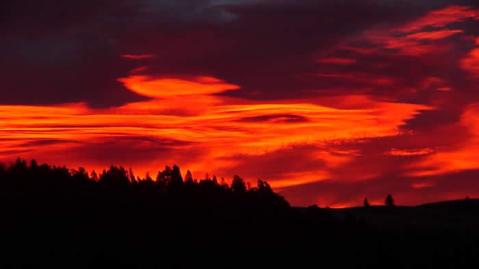 A vibrant red and orange sunset over a dark treeline.