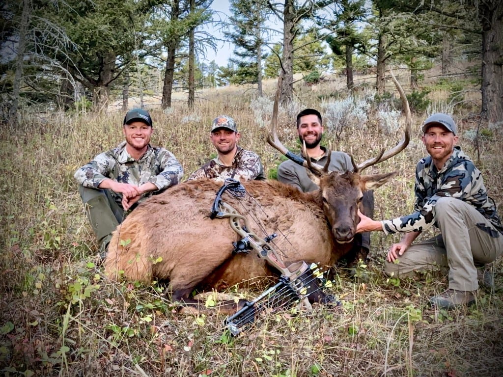 Four hunters pose with a harvested elk in a wooded area.