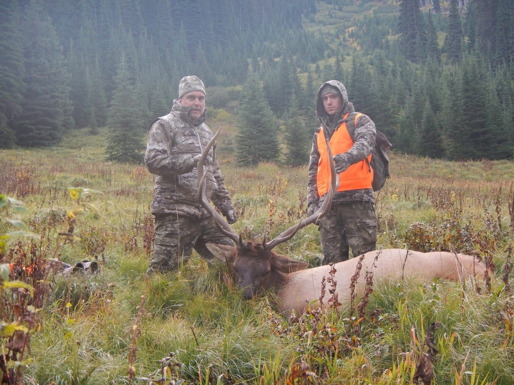Two hunters stand with a harvested elk in a grassy field with a forest in the background.