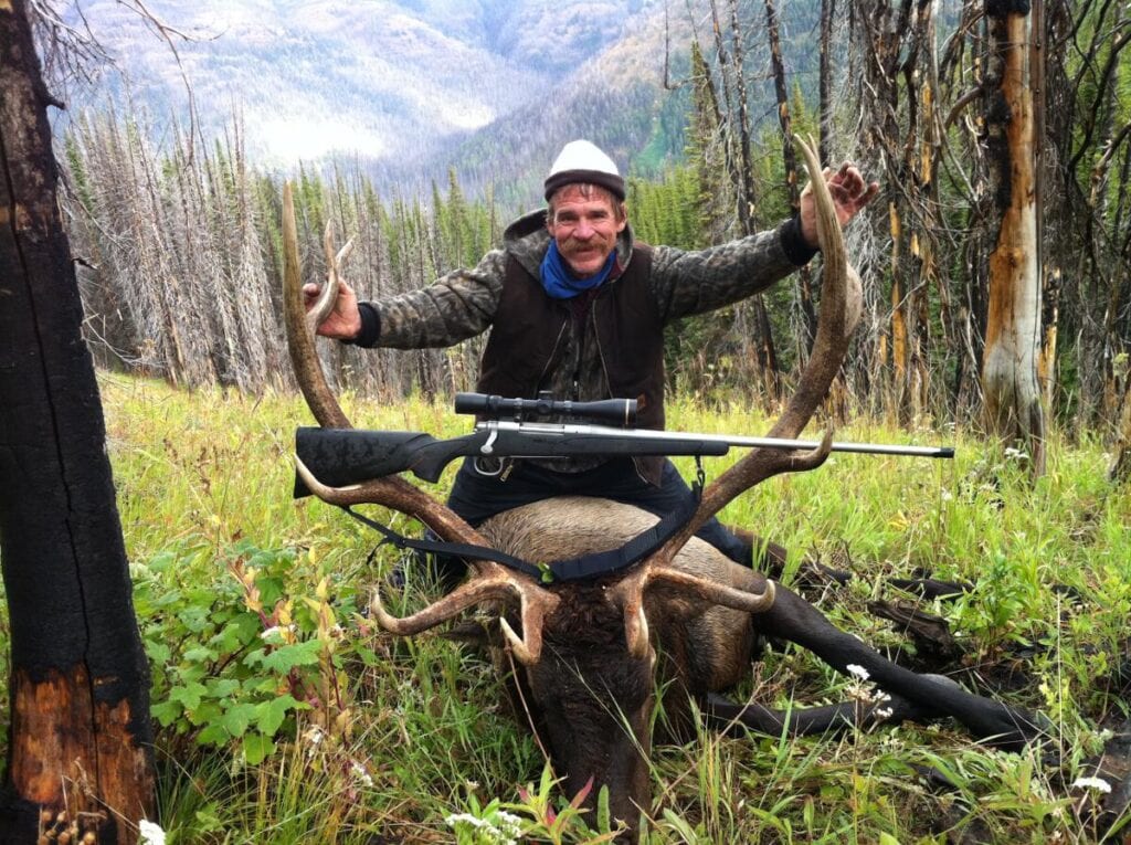 Bull Elk
