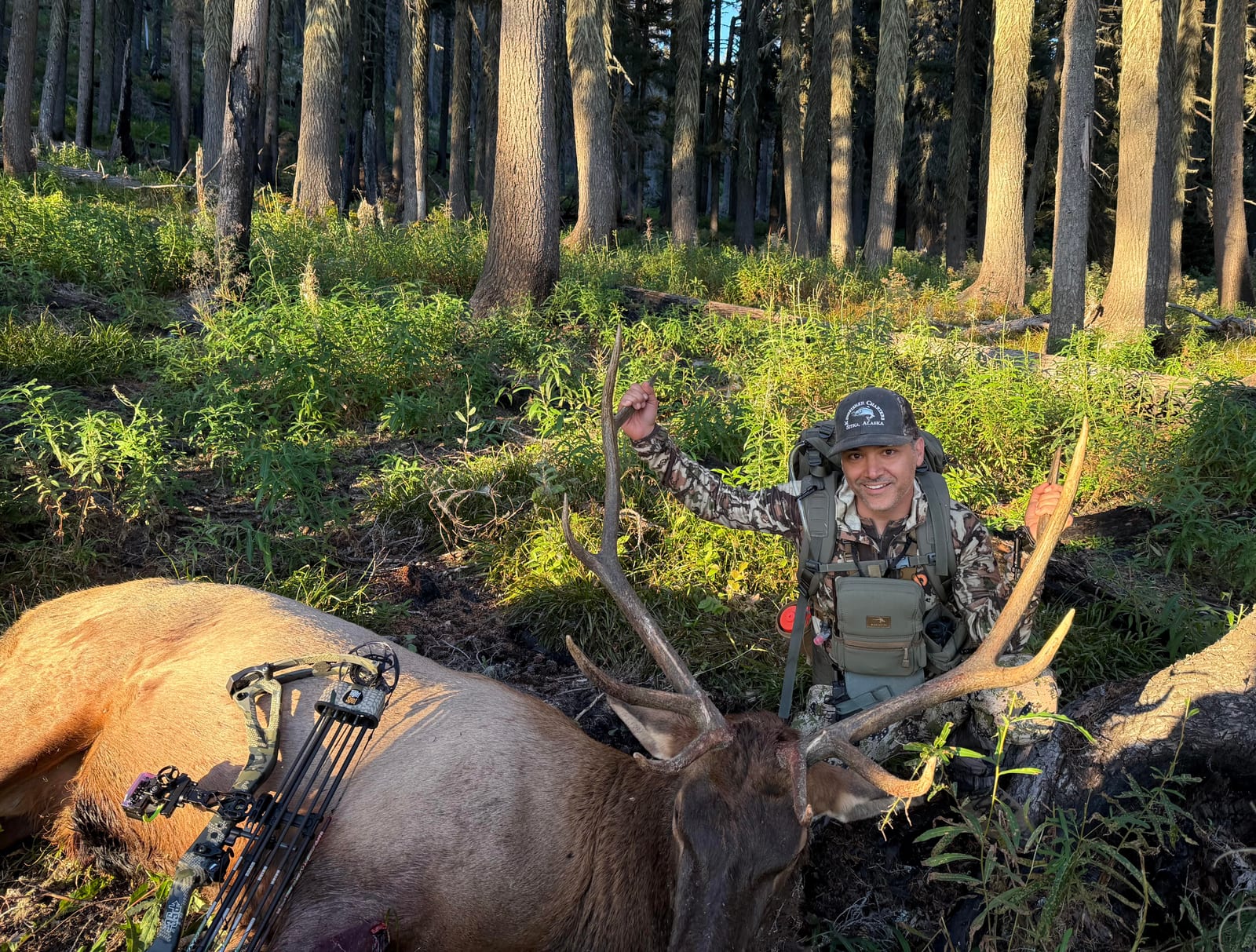 A hunter poses with a harvested elk in a forest.