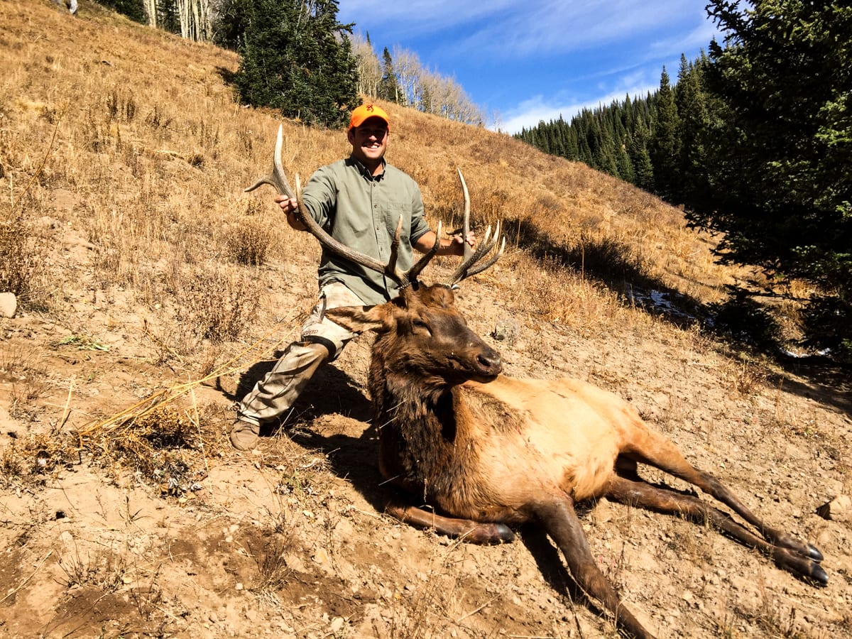 Elk Hunting