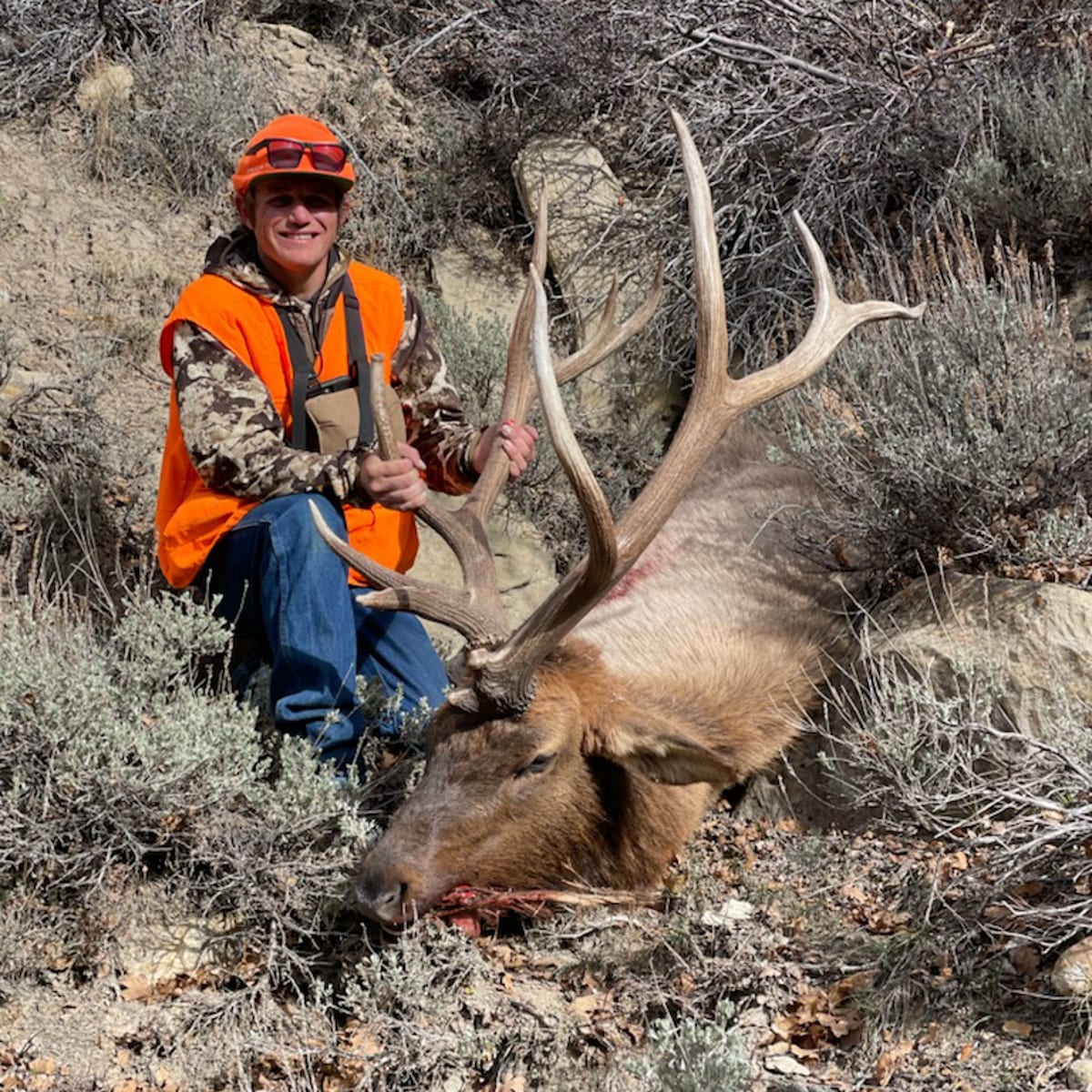Elk Hunting