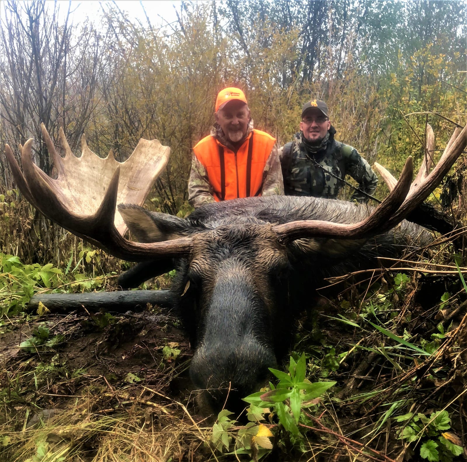 Moose Hunting