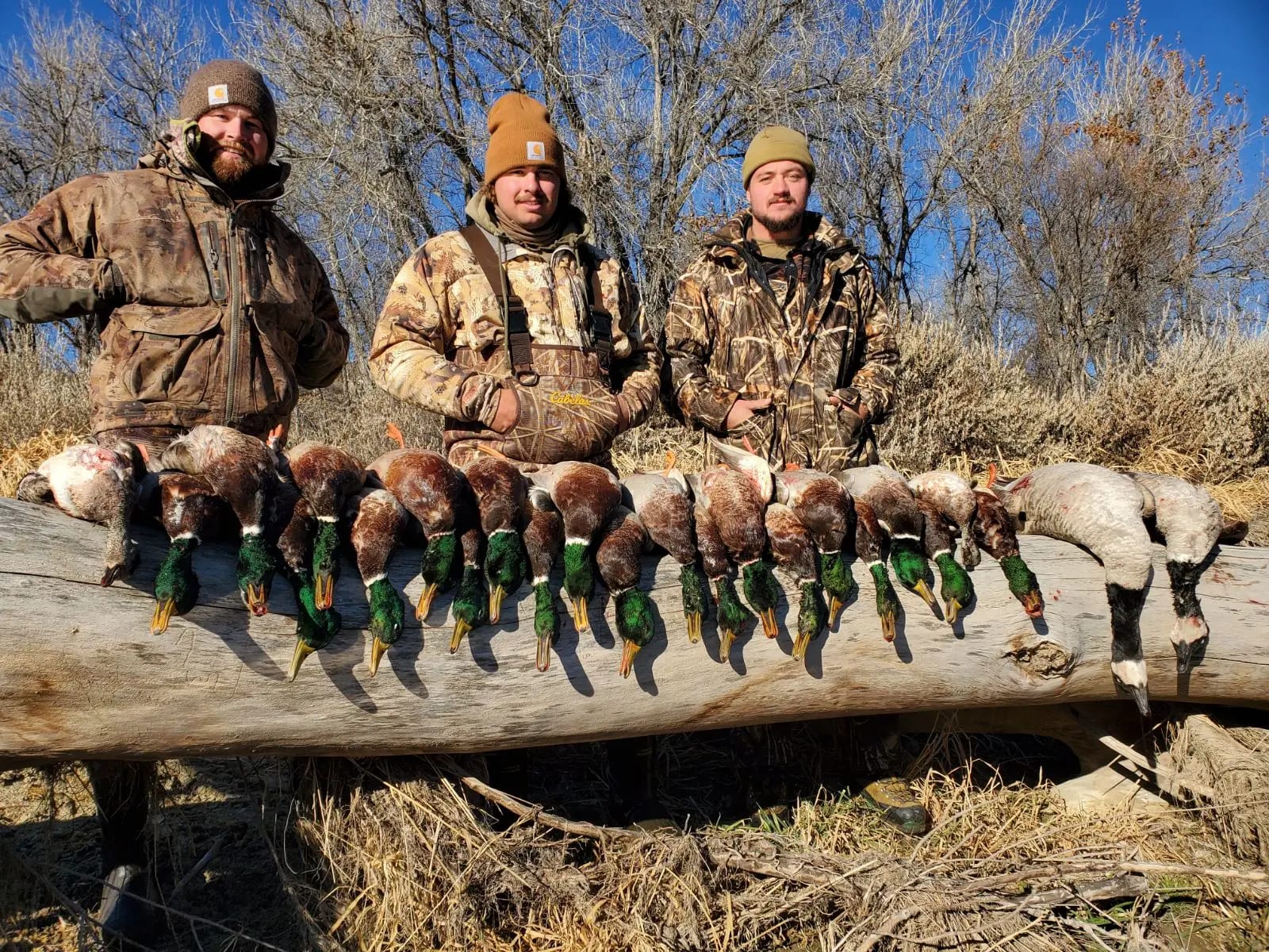 three men showing off the duck hunt harvest while wearing camouflage