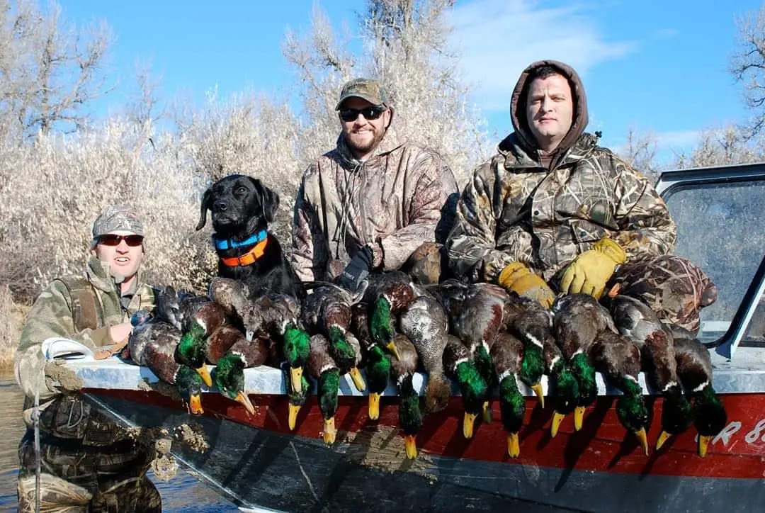 three men and a black dog showing off their duck hunt results