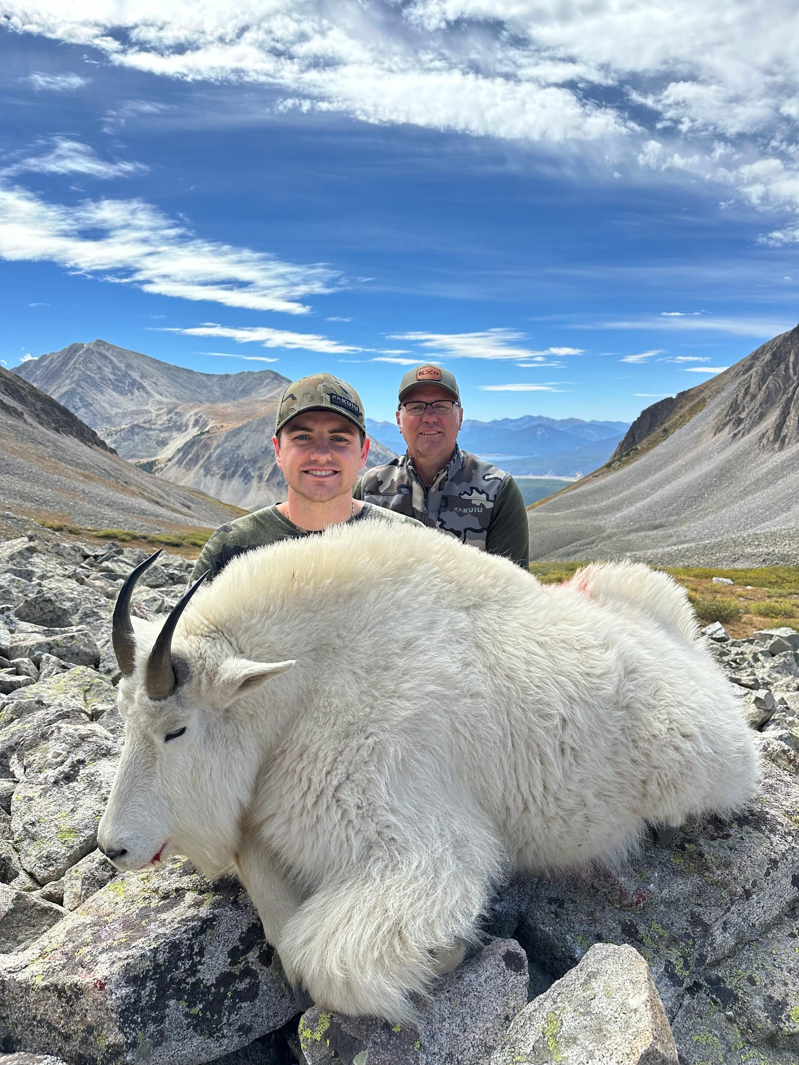 2025 Colorado Bighorn Sheep, Mountain Goat, and Shiras Moose Recommendations