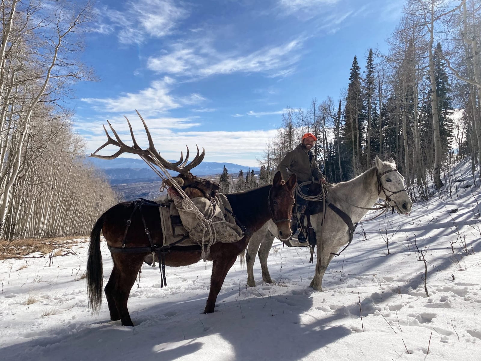 A man riding a white horse in a snowy forest with trees and mountains in the background, accompanied by a moose with large antlers standing nearby.