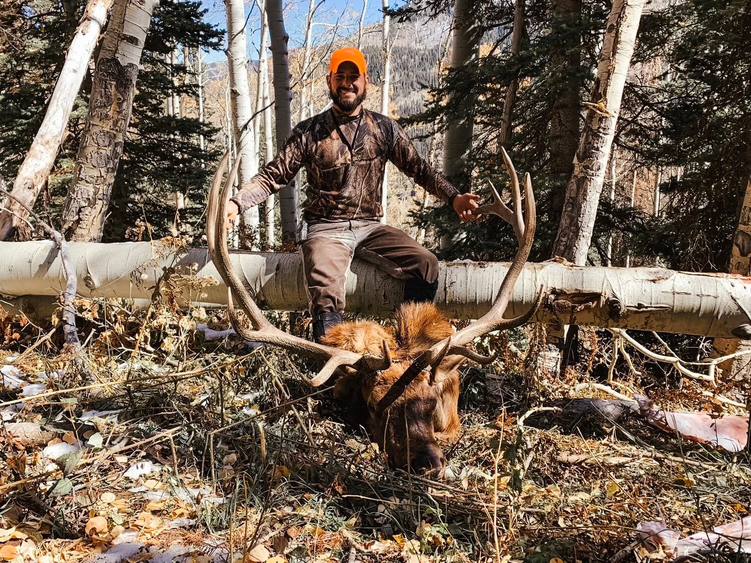 GUIDED ELK/DEER