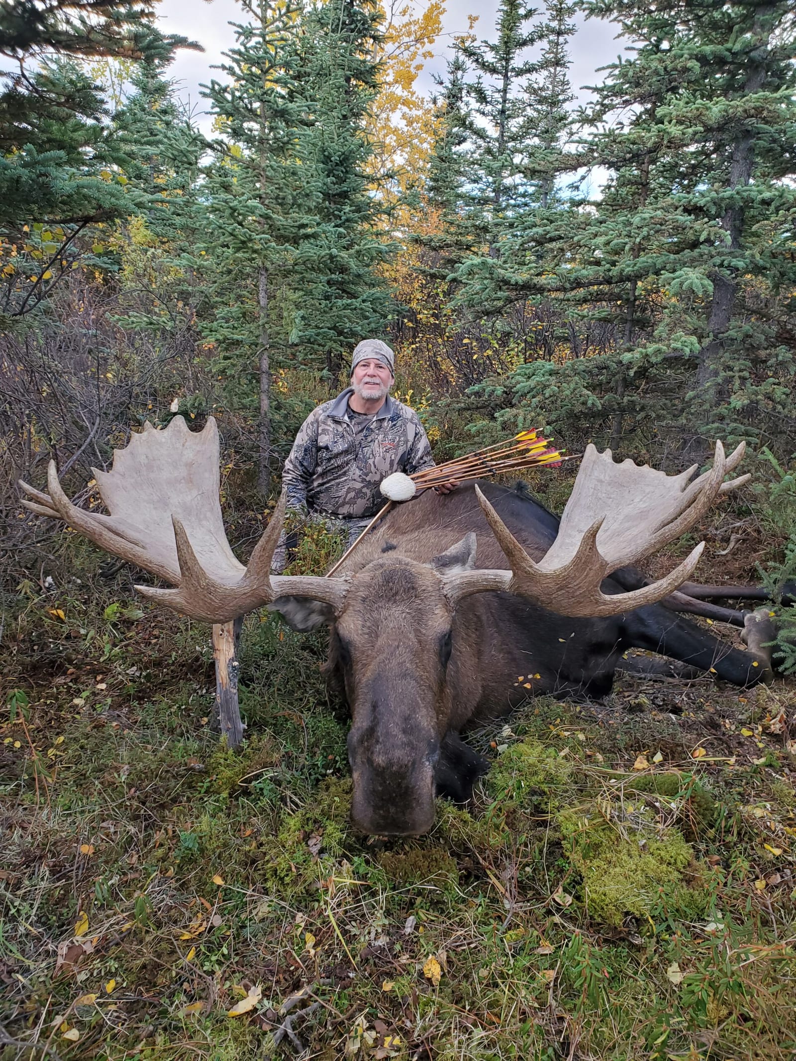 Alaskan Yukon Moose