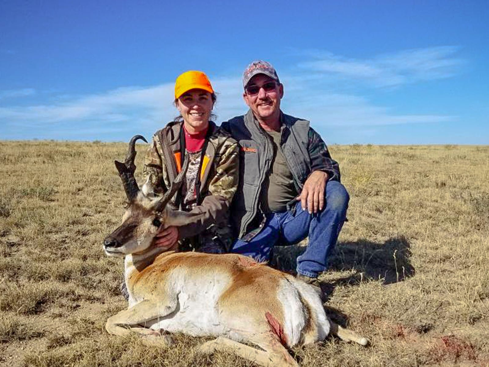 colorado pronghorn antelope