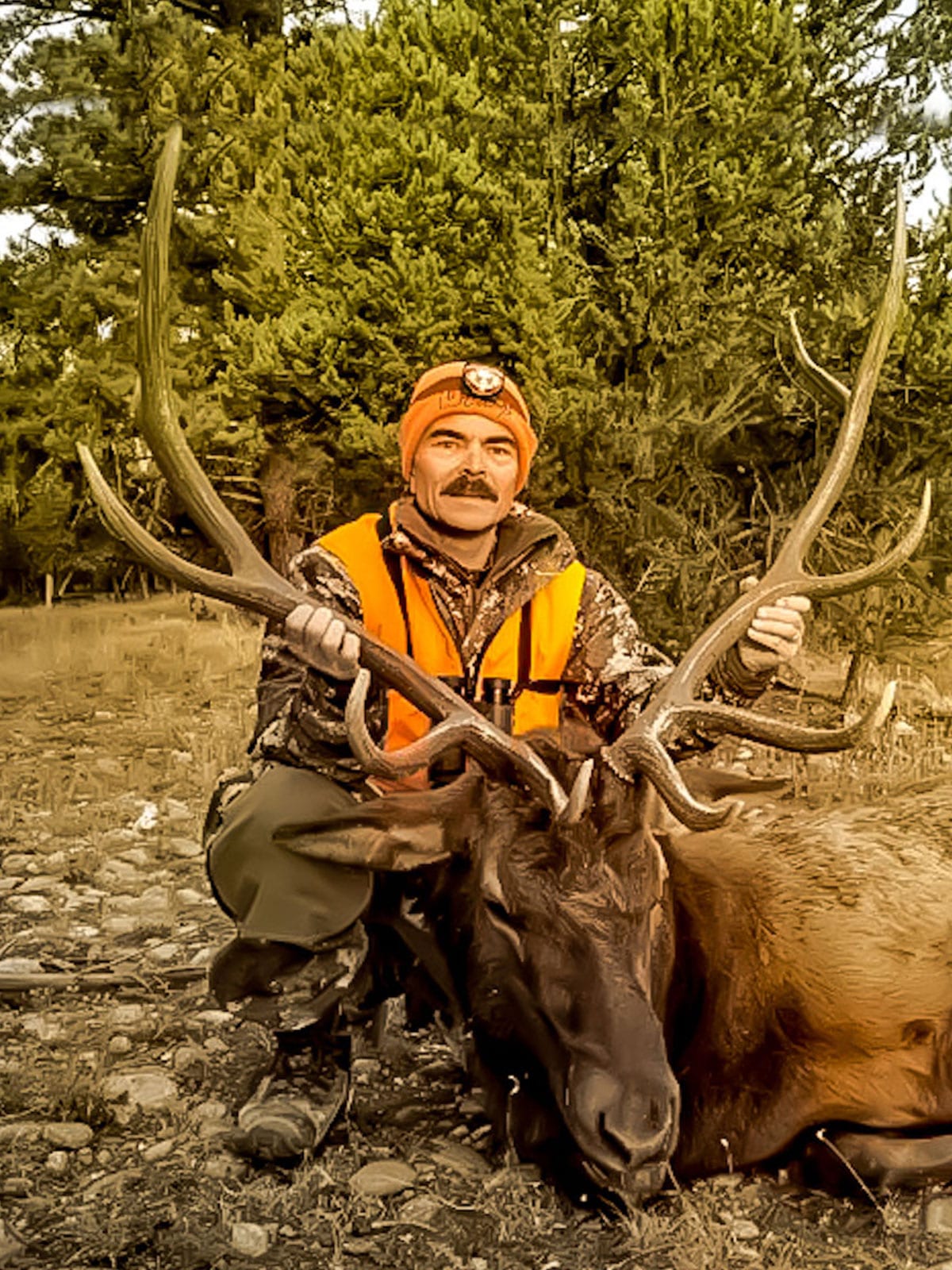 Colorado elk hunting