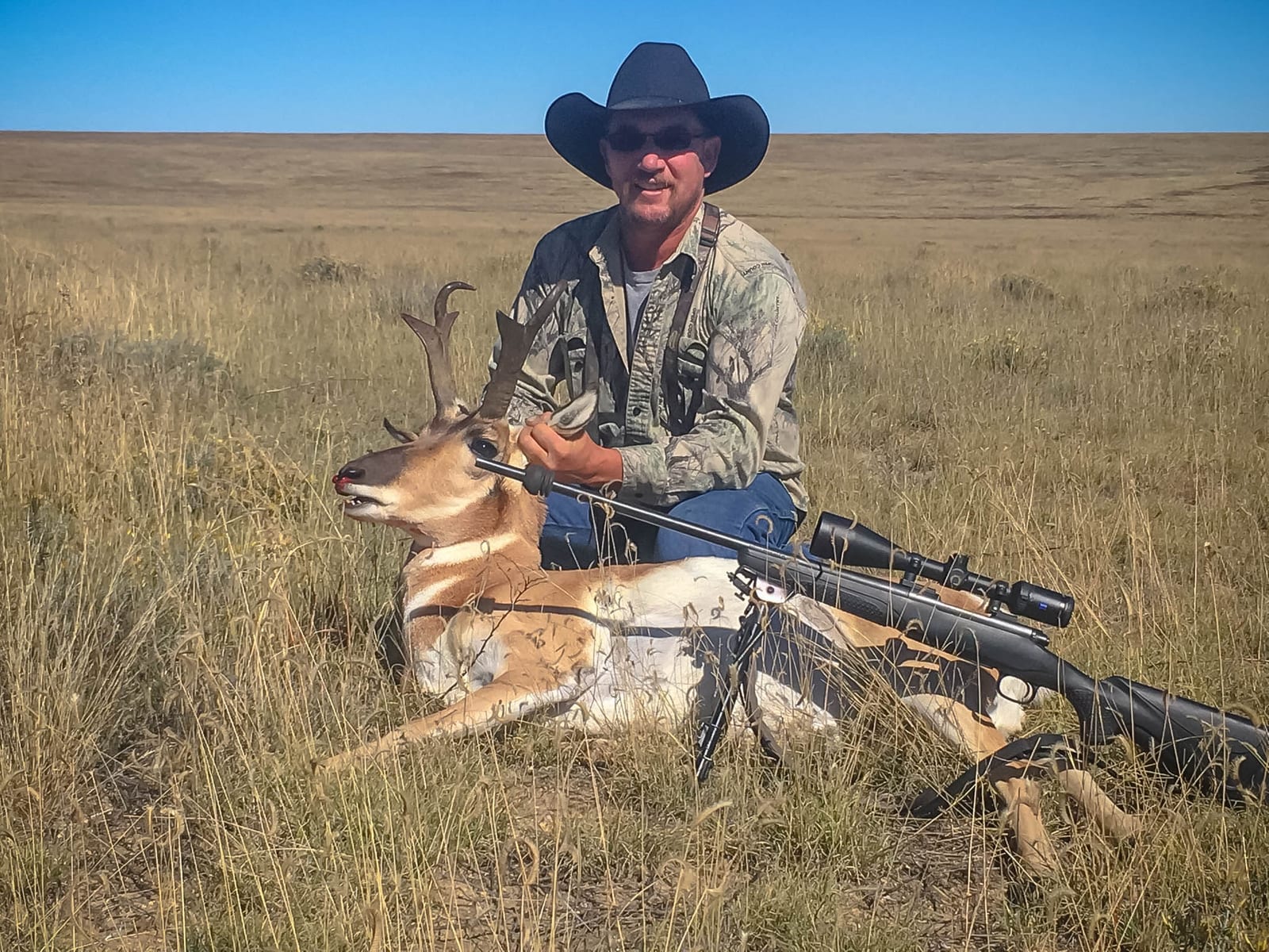 colorado pronghorn hunting