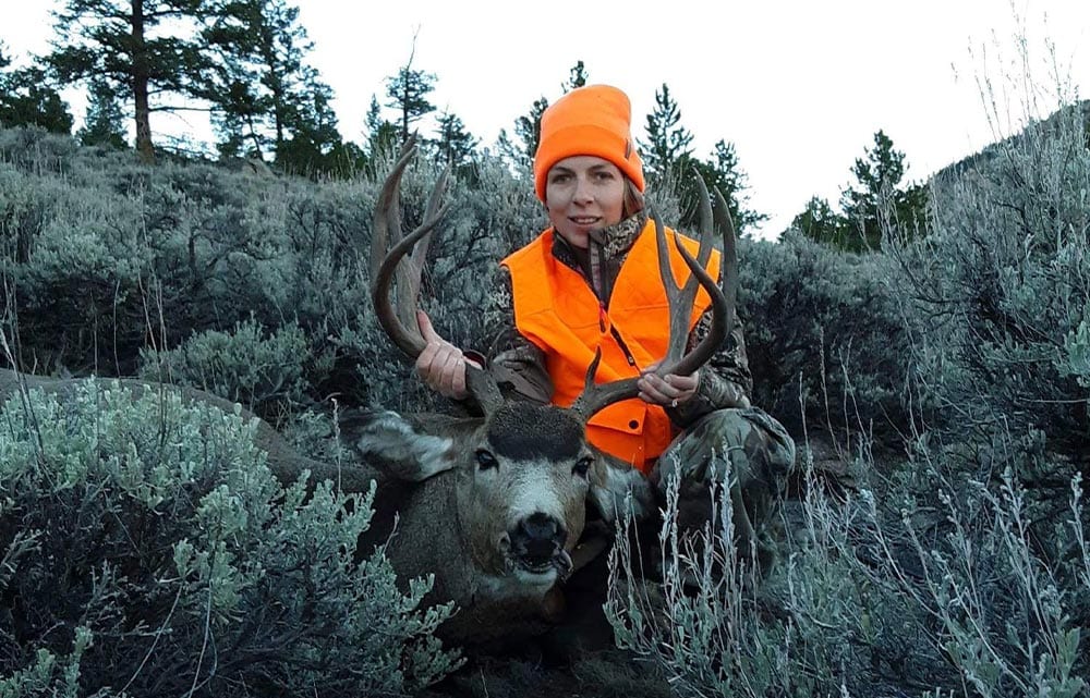 Colorado mule deer hunting