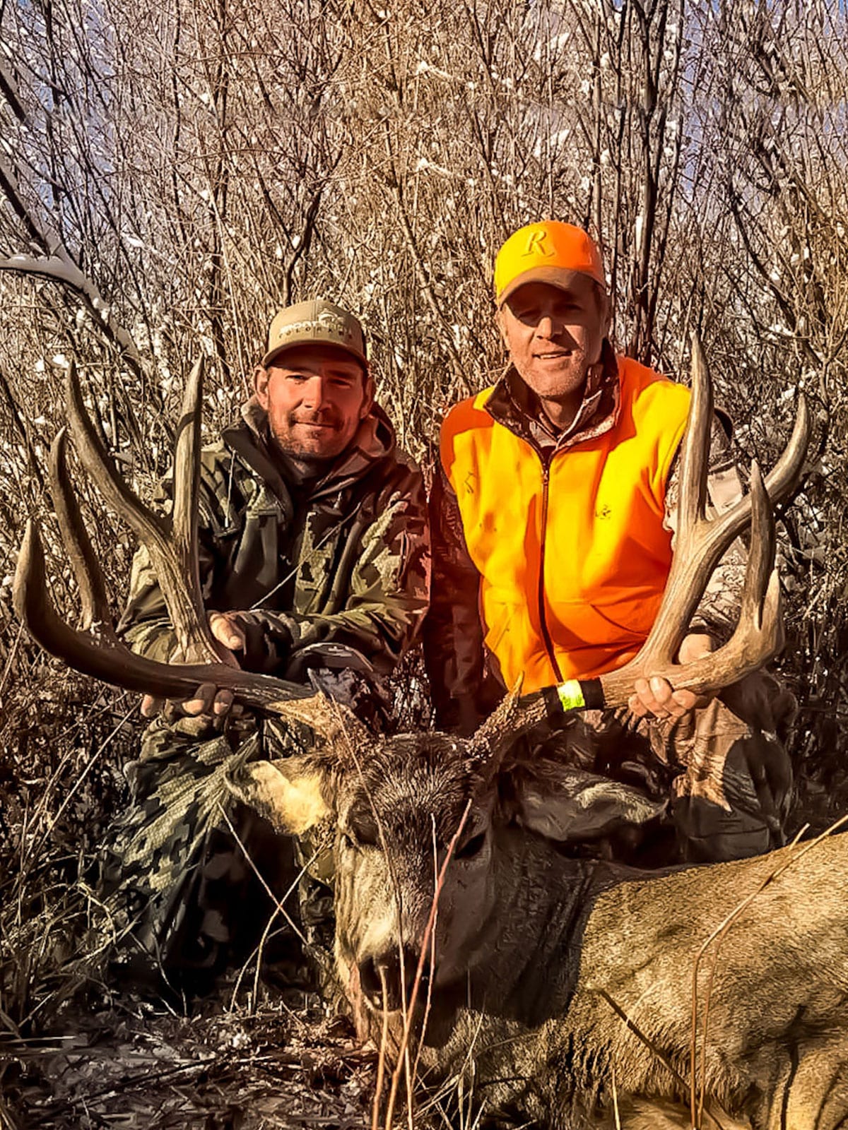 Colorado trophy mule deer hunting