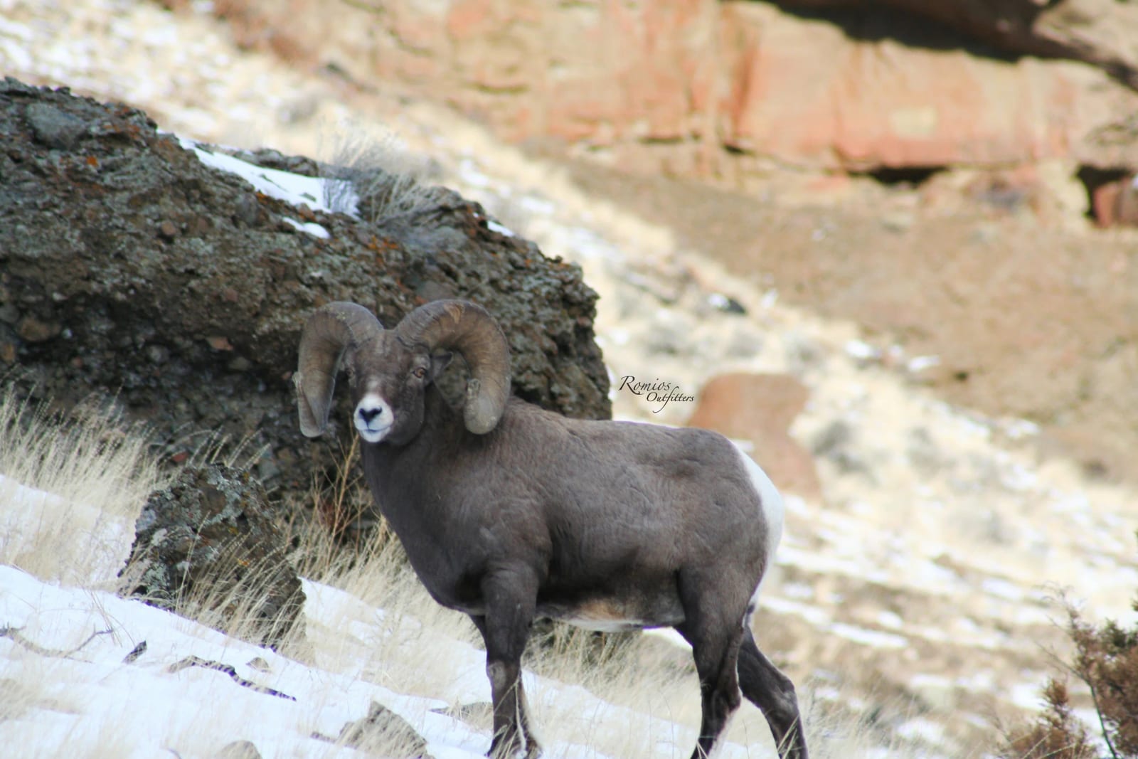 ccGalleryImages (24 of 65).jpg