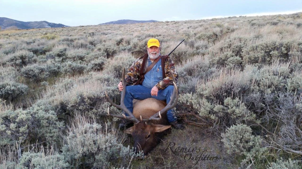 Bull Elk Final Hayes.jpg