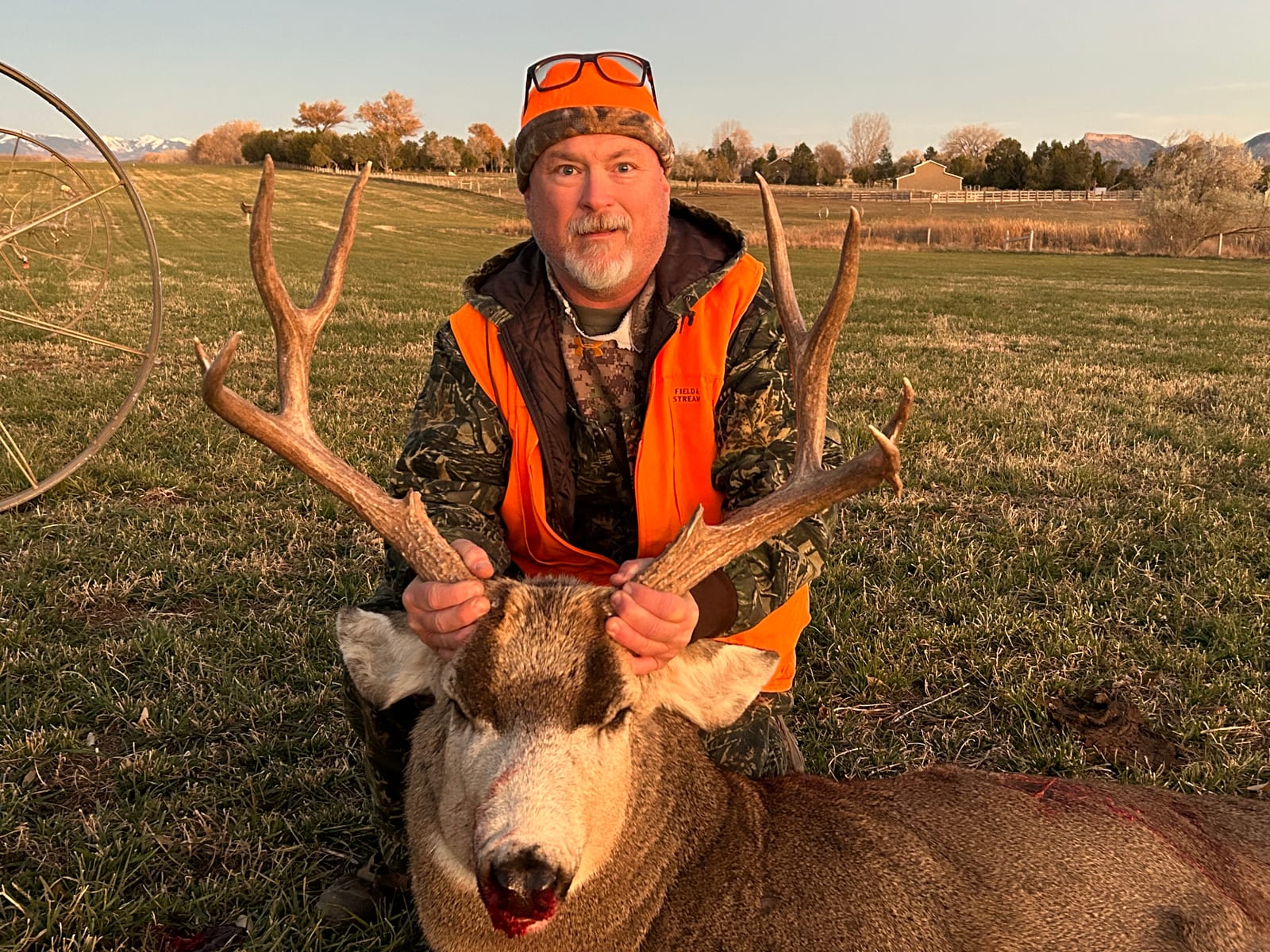A hunter kneels in a field, posing with a harvested mule deer.