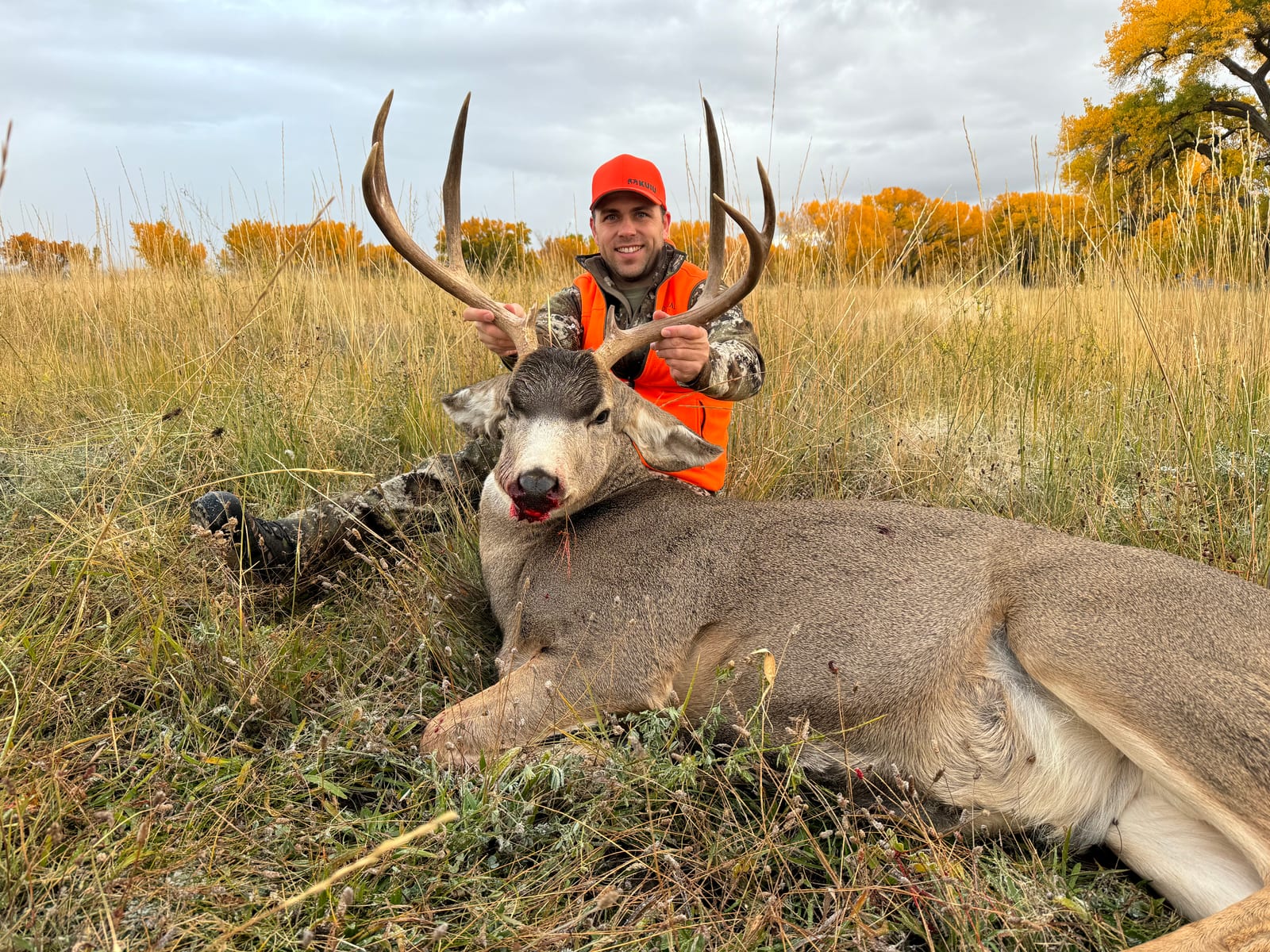 A hunter in an orange vest and hat poses with a harvested mule deer in a grassy field with autumn trees in the background.