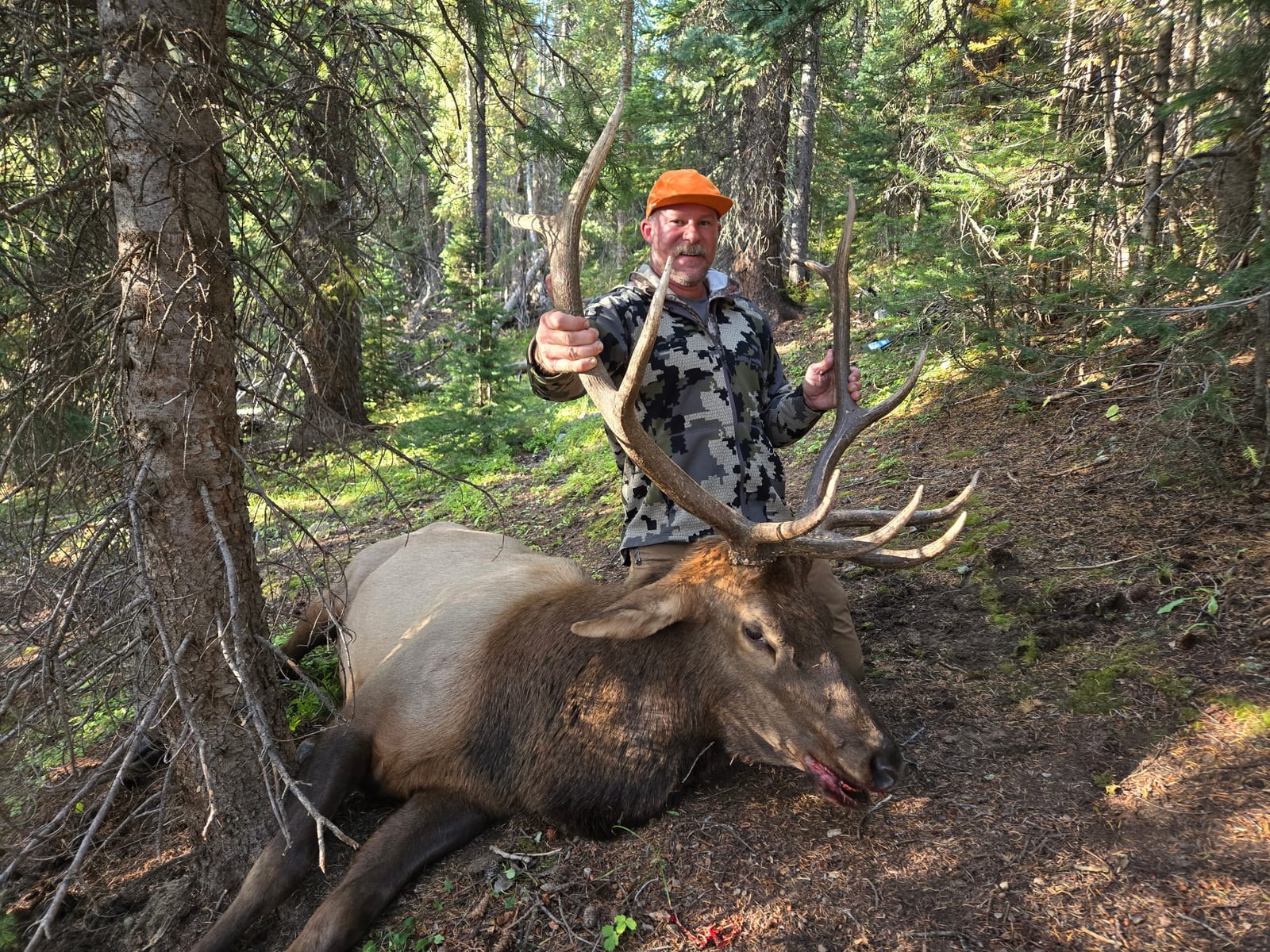 Colorado muzzleloader elk hunts
