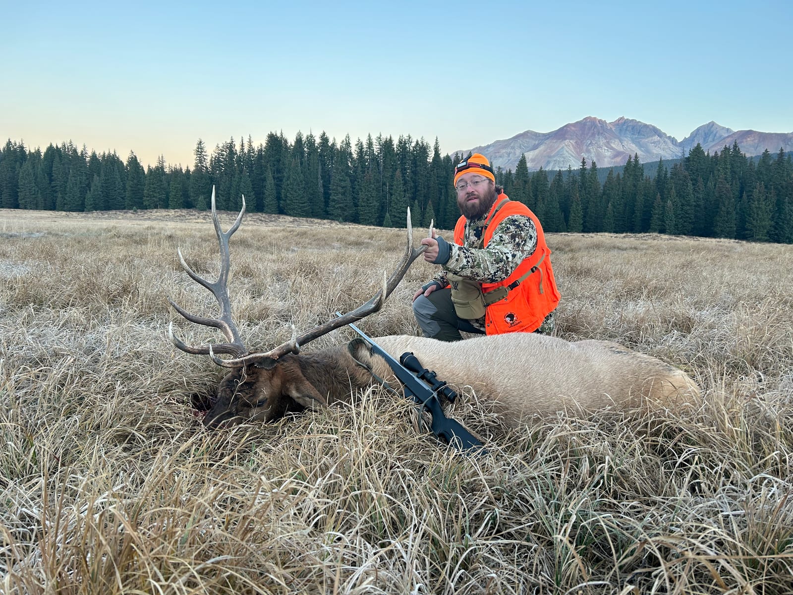 Colorado rifle elk hunts