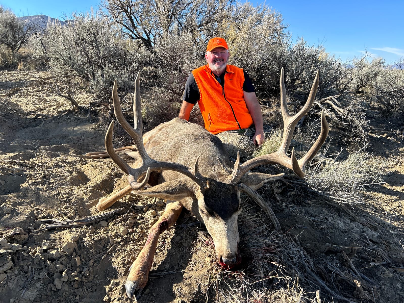 Colorado rifle mule deer hunts
