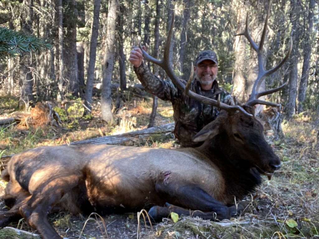 Colorado archery elk hunts