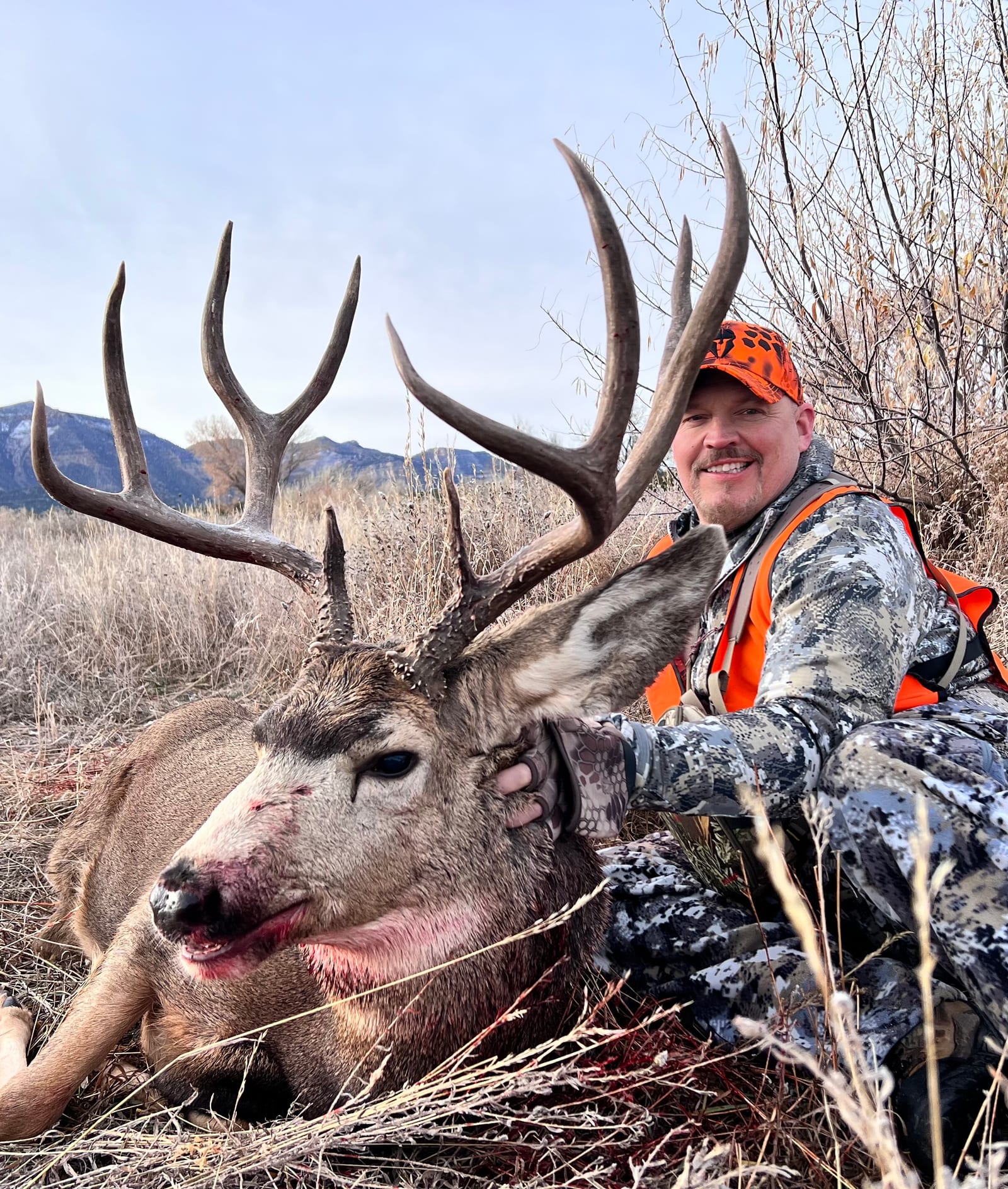 A hunter in camouflage and an orange hat poses with a harvested mule deer in a grassy field.