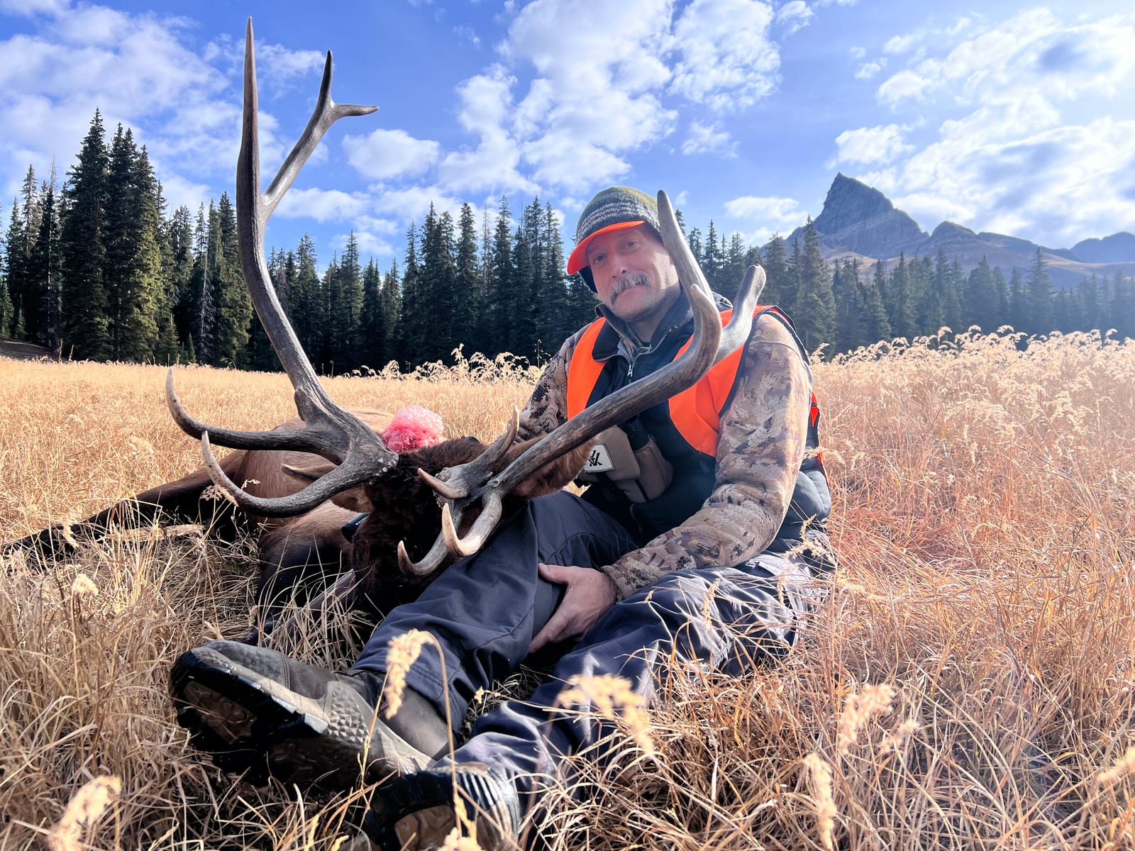 Colorado rifle elk hunts