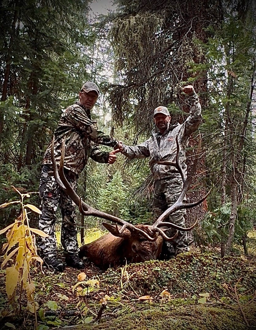 Colorado archery elk hunts