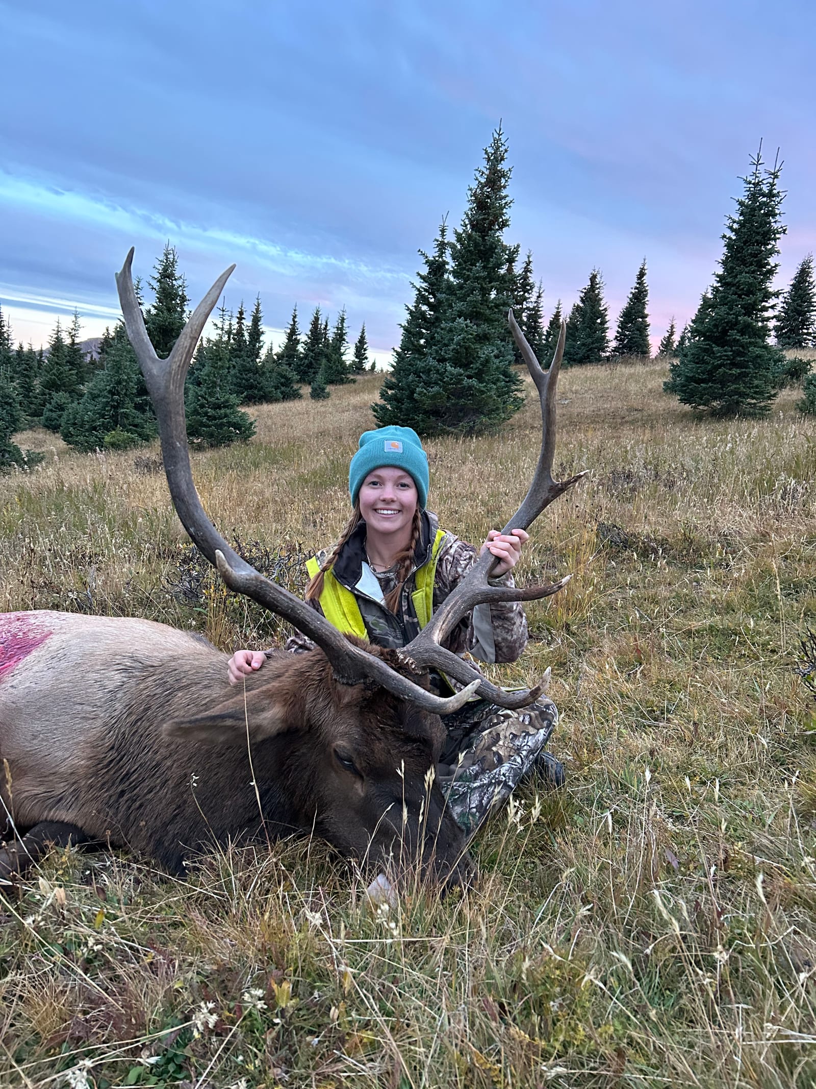 Colorado muzzleloader elk hunts