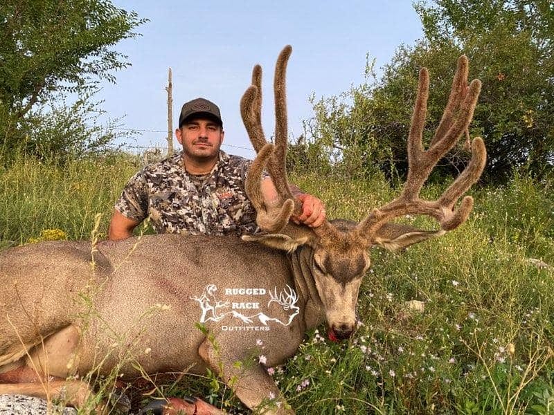 Rattacasa Buck.jpg