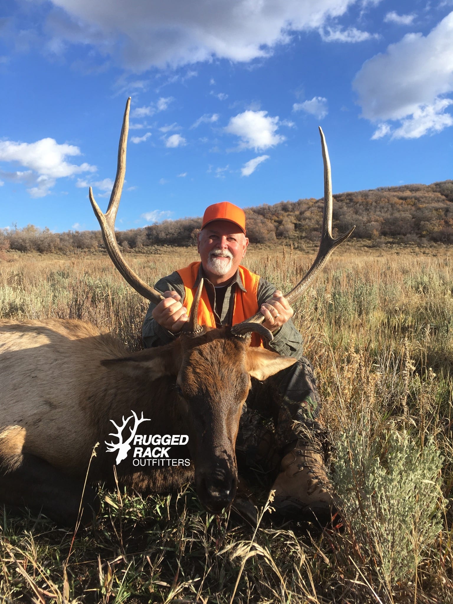 Elk 2021 2.jpg