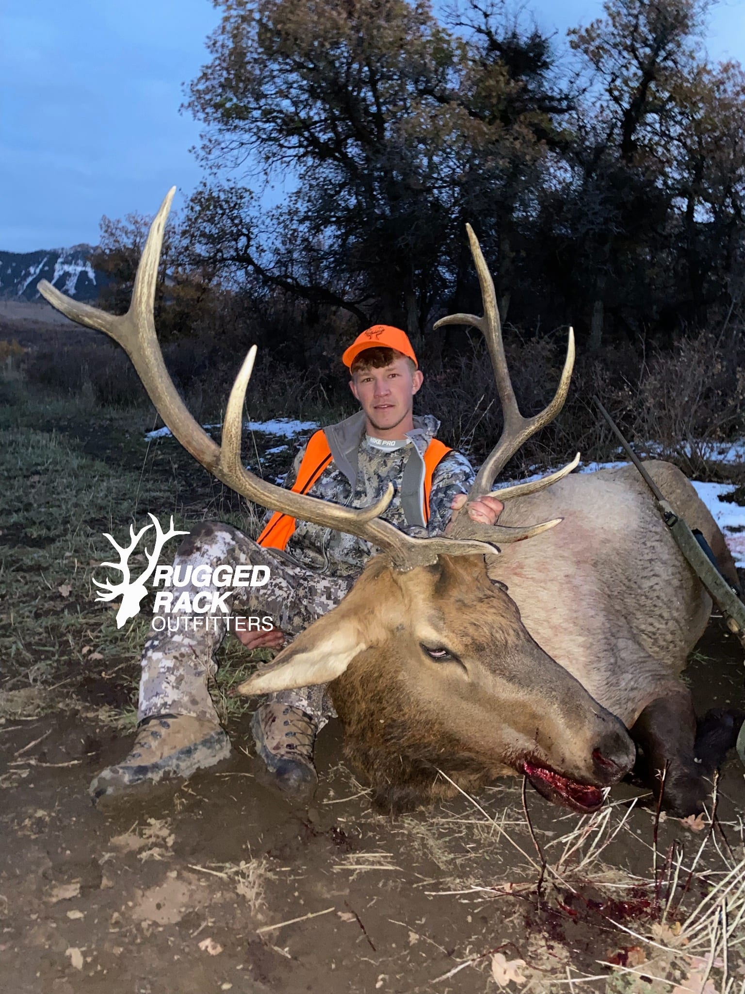 Elk 2021 3.jpg