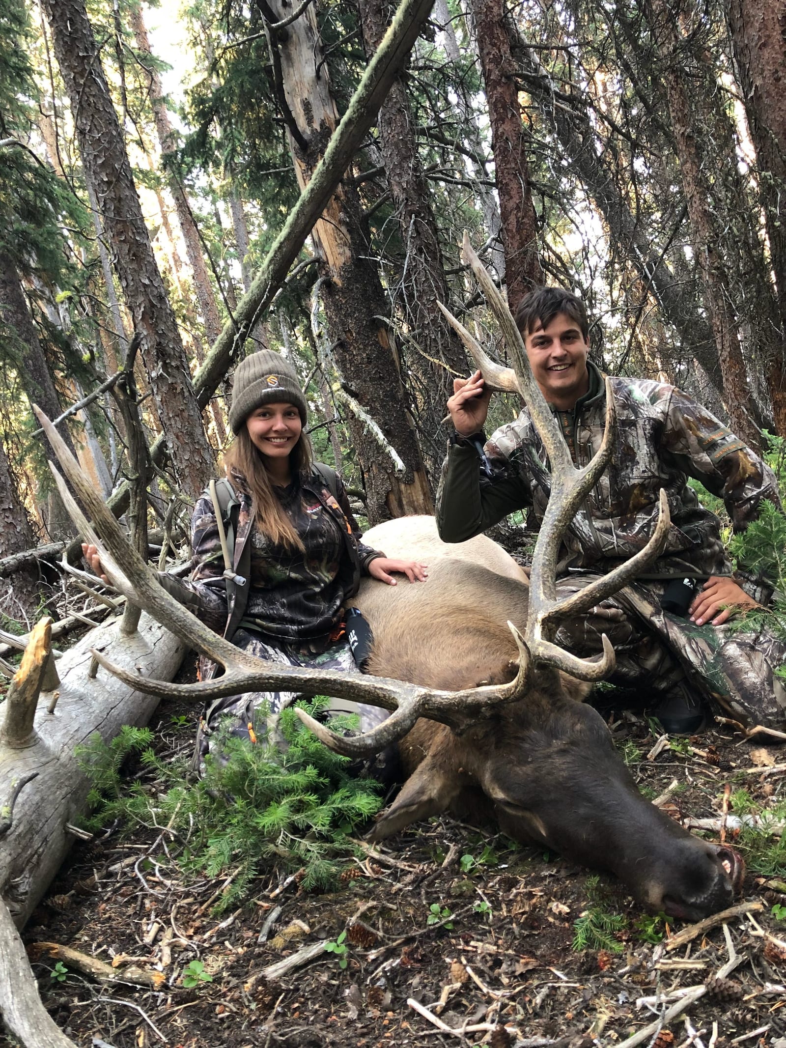 Two hunters pose with a harvested elk in a forest.