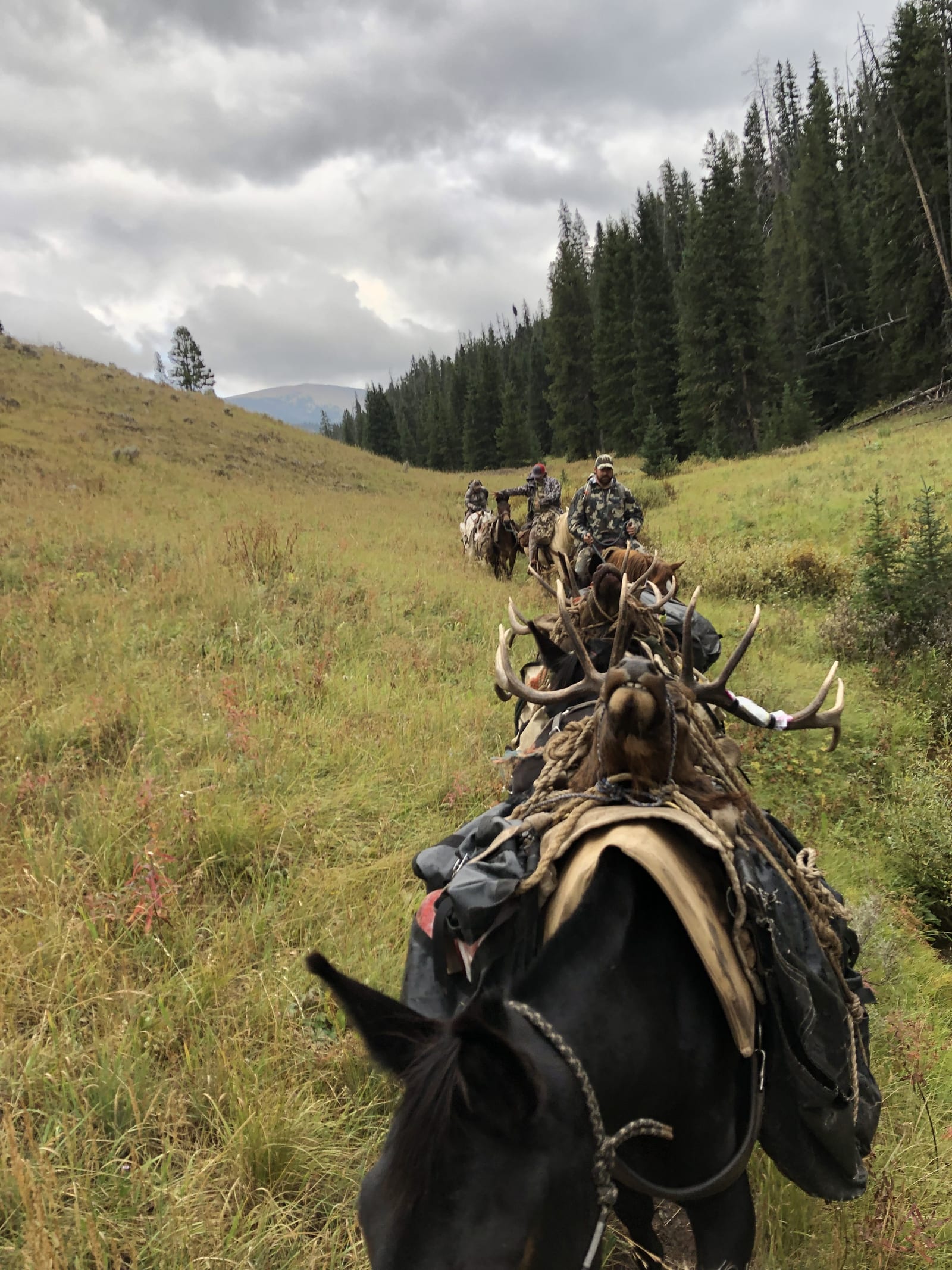 Hunters on horseback pack out harvested elk antlers through a grassy mountain landscape.