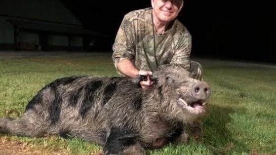 A man in camouflage clothing smiling and kneeling next to a dead wild boar on the grass at night.