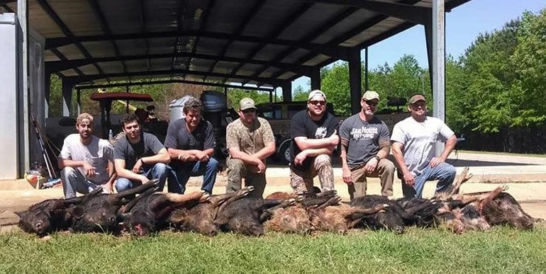 A group of hunters poses with several harvested wild boars on the grass.