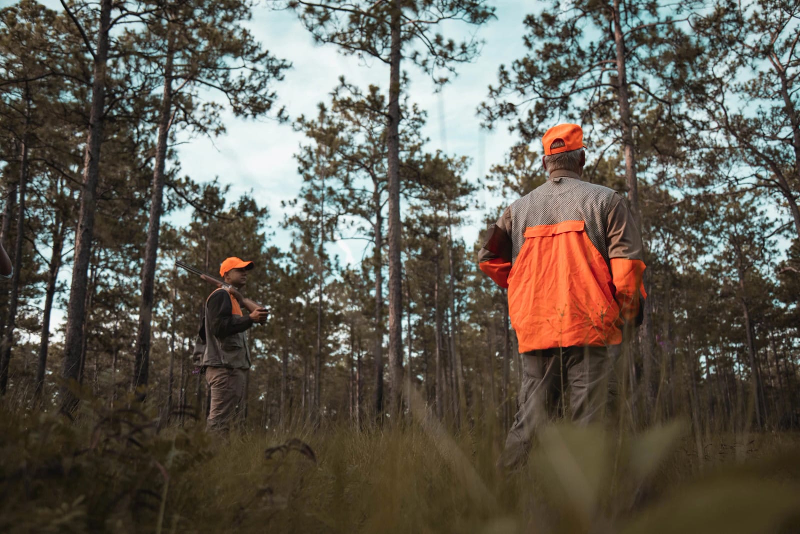 We're all about the hunt.