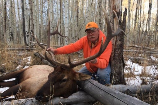 A hunter in an orange jacket and hat poses with a harvested elk in a forest of aspen trees.