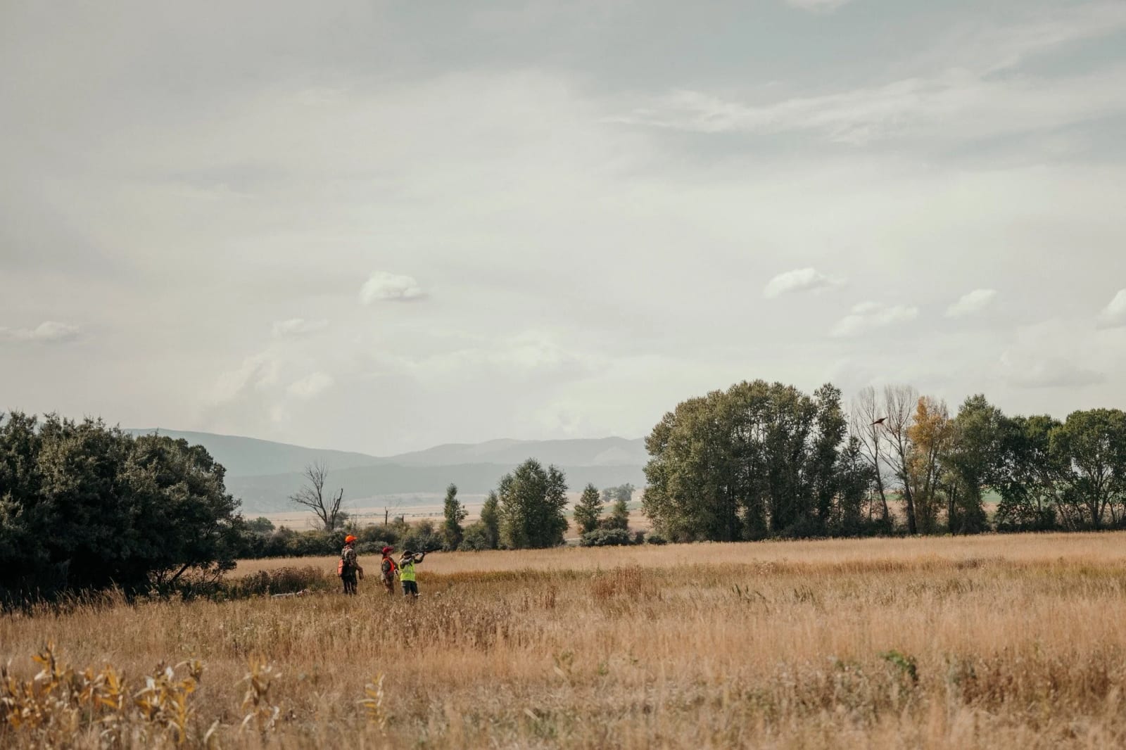 Pheasants Forever Ladies Hunt