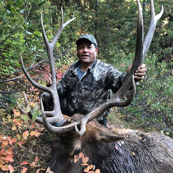 A hunter in camouflage poses with a harvested elk in a wooded area.