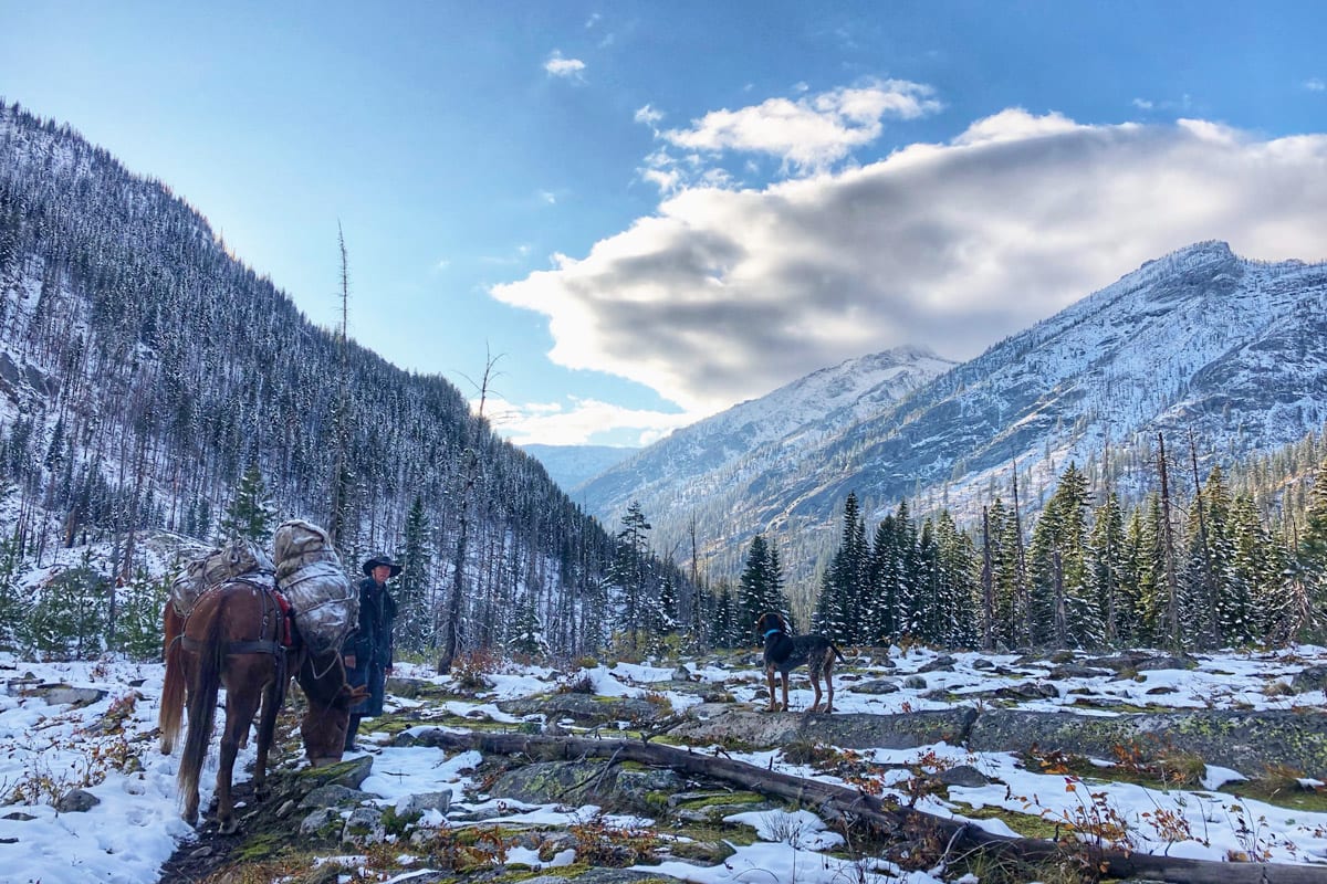 A winter image in the Sawtooth Wilderness.
