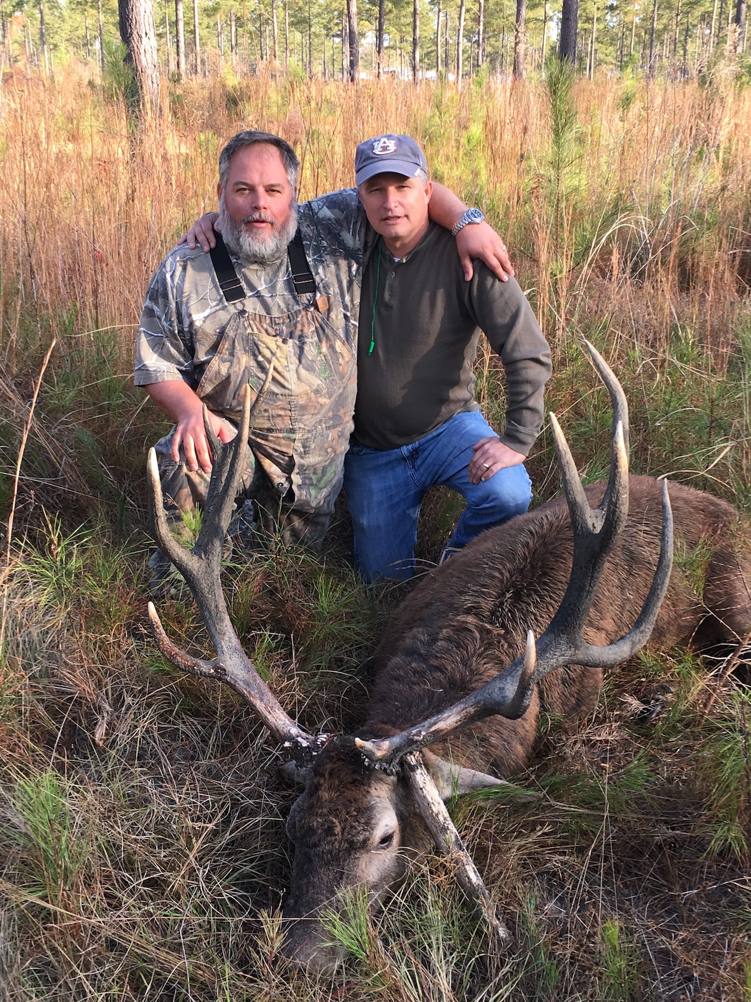 Two hunters pose with a harvested red deer in a grassy field.