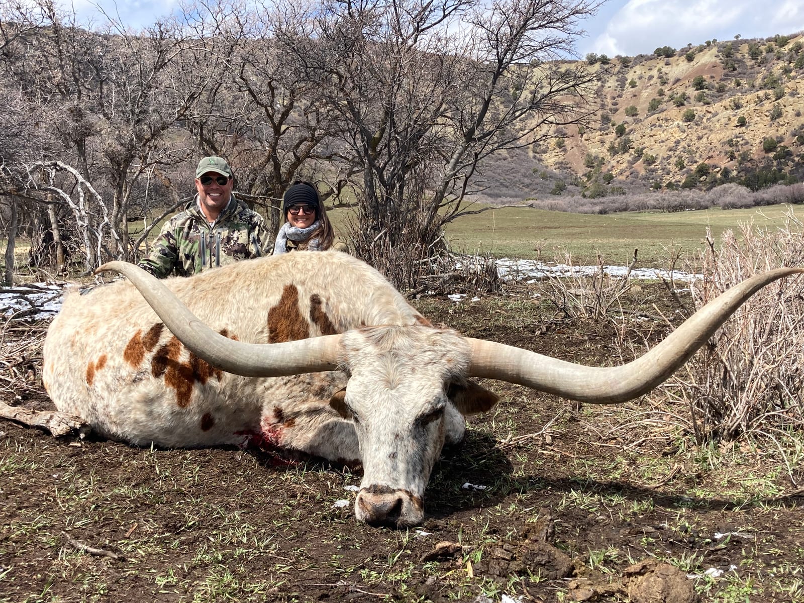 Colorado Longhorn Hunt
