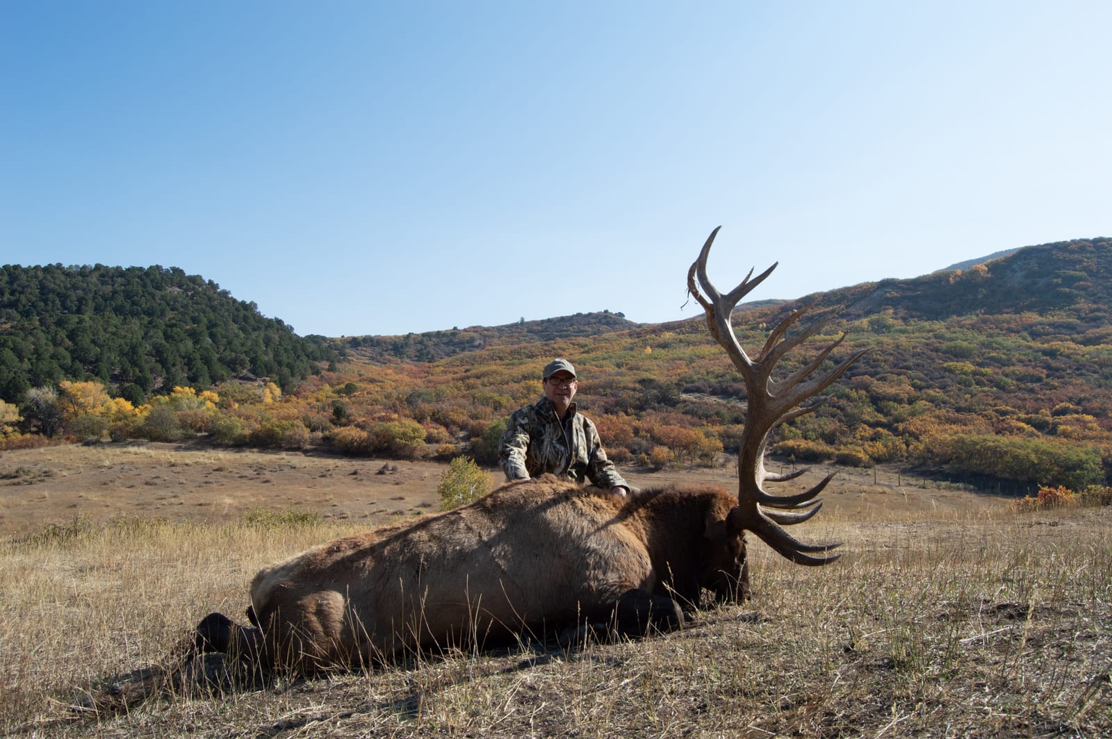 Guided Colorado Elk Hunts