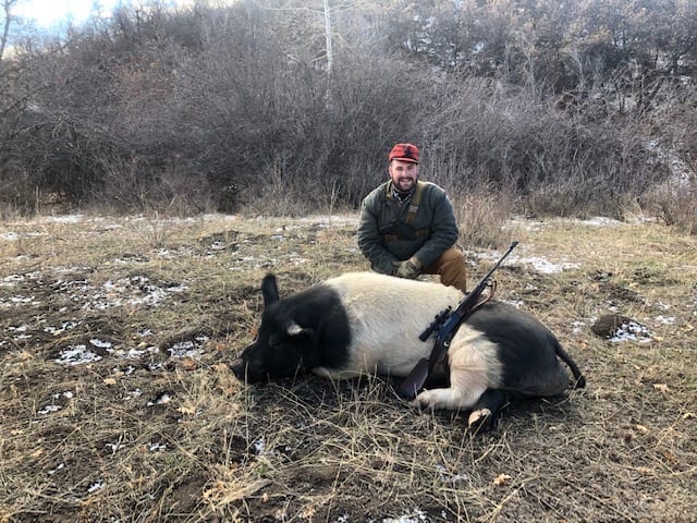 Colorado Hog Hunting