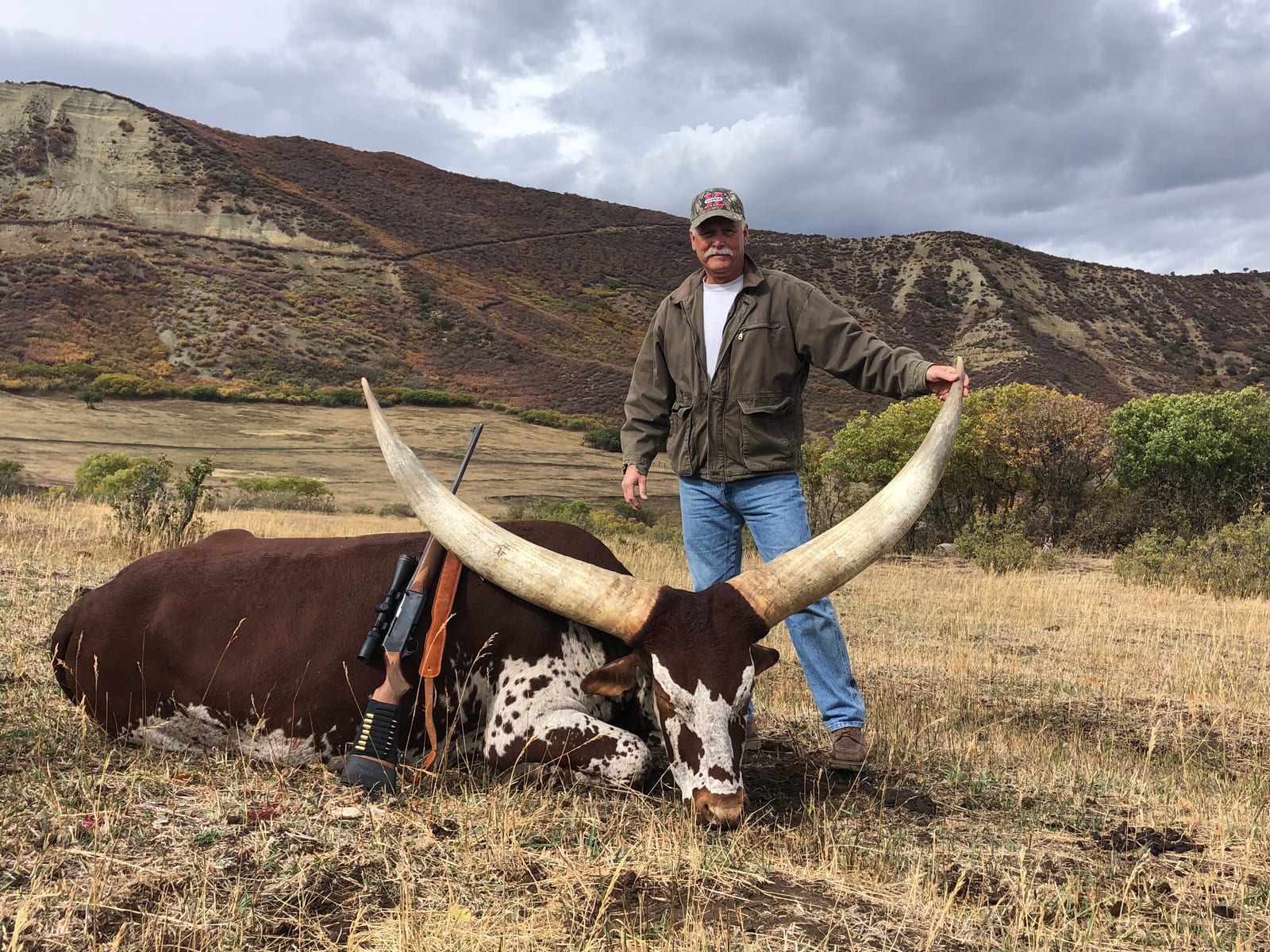 Colorado Watusi Hunt